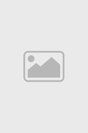 《可怕的婆婆》宣传海报